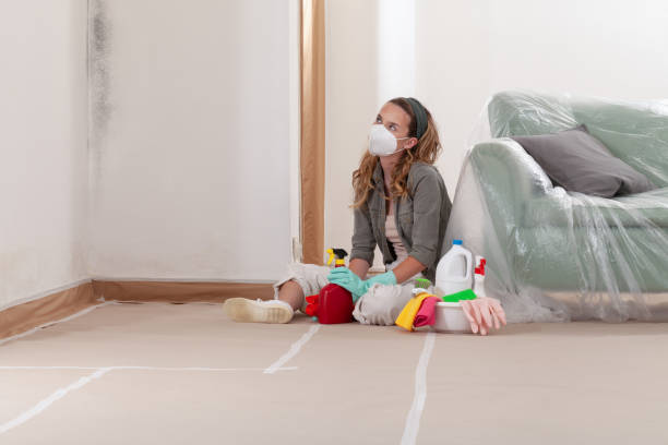 Reliable Basement Mold Remediation contractor in Mount Tabor, NJ by WQB Mold Removal
